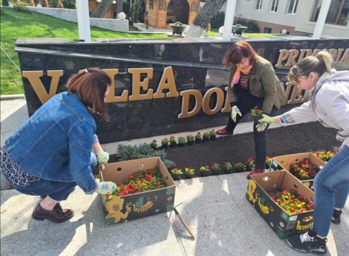 Campanie de curățenie la Valea Doftanei. Localnicii au ieșit să curețe deșeurile și să planteze flori (FOTO)
