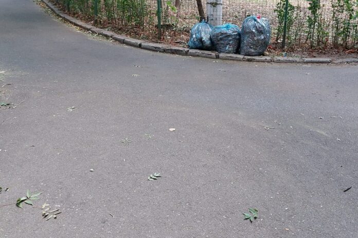 Gunoiul sesizat este strâns, dar ce am putea face să nu mai apară altul? – FOTO