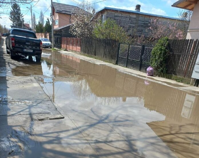 Ați auzit de ”orezăria din Ploiești”? E pe strada Spicului
